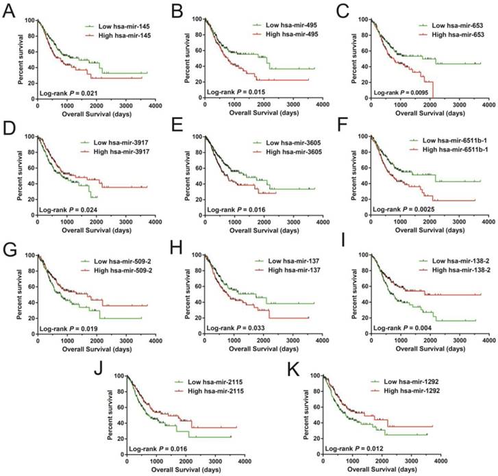 J Cancer Image