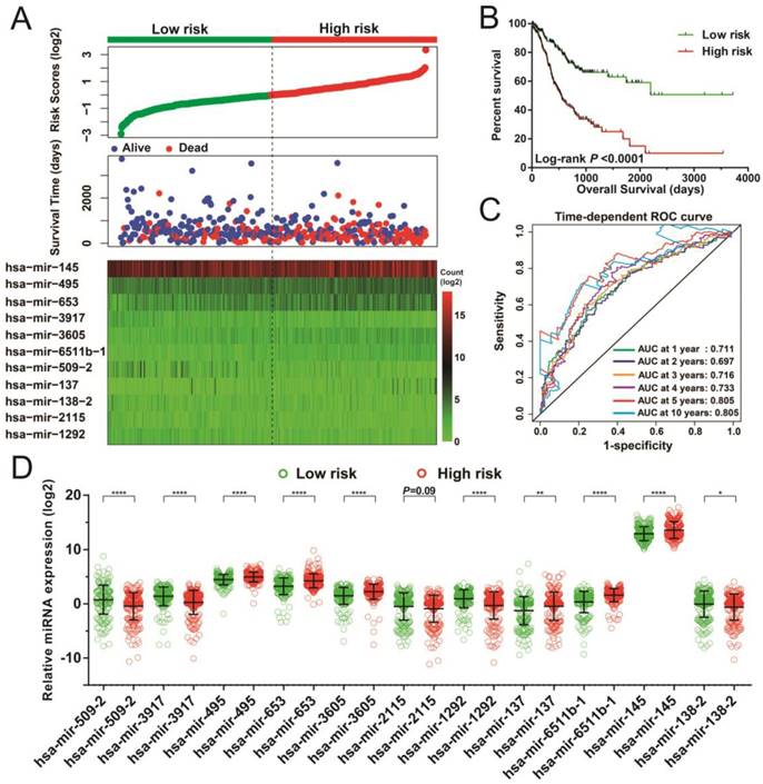 J Cancer Image