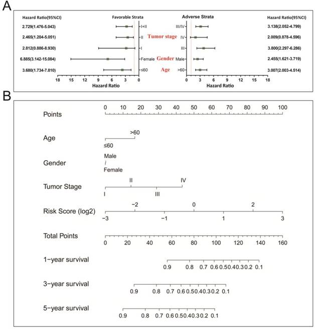 J Cancer Image