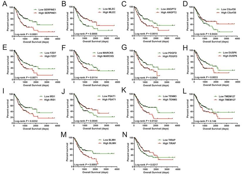 J Cancer Image