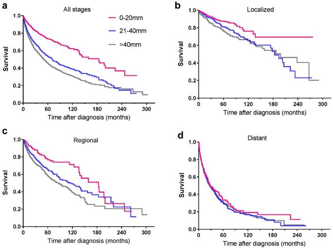 J Cancer Image