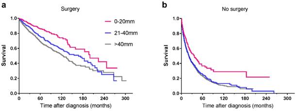 J Cancer Image