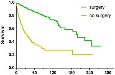 J Cancer Image