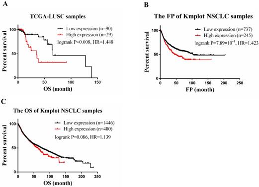 J Cancer Image