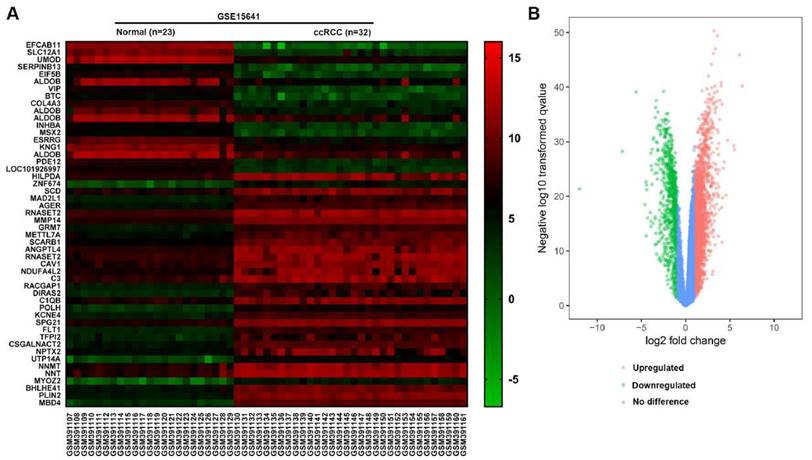 J Cancer Image