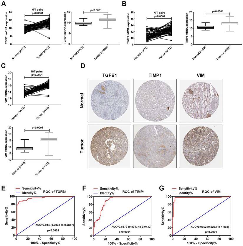 J Cancer Image