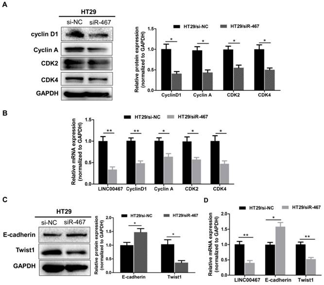 J Cancer Image