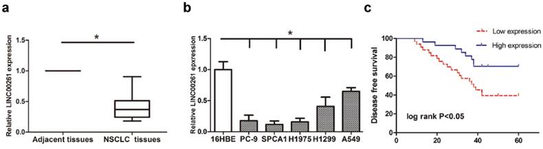 J Cancer Image