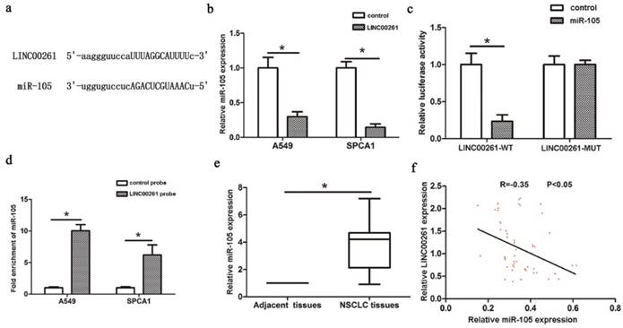 J Cancer Image