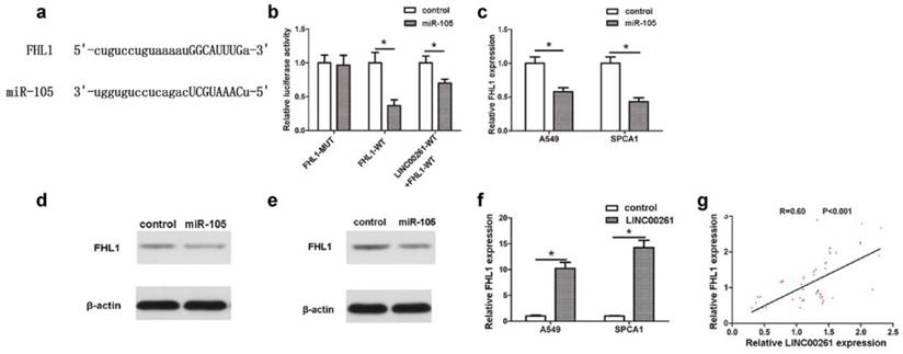 J Cancer Image