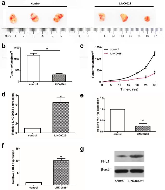 J Cancer Image