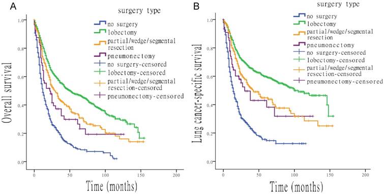 J Cancer Image