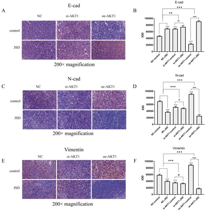 J Cancer Image