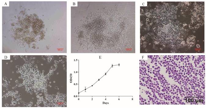 J Cancer Image