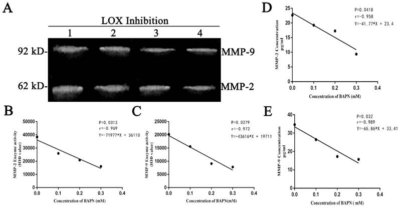 J Cancer Image