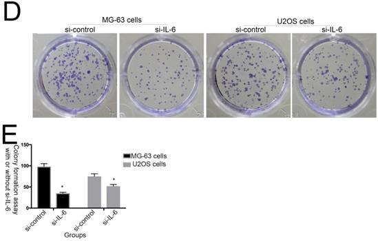 J Cancer Image