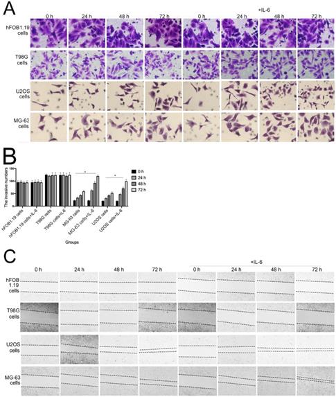 J Cancer Image