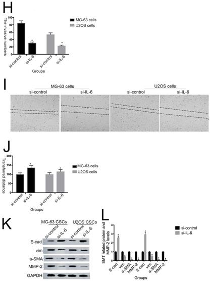 J Cancer Image