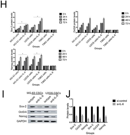 J Cancer Image