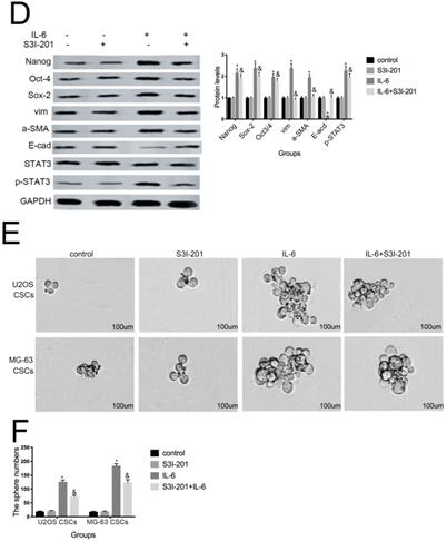 J Cancer Image