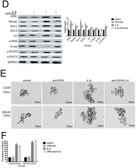 J Cancer Image