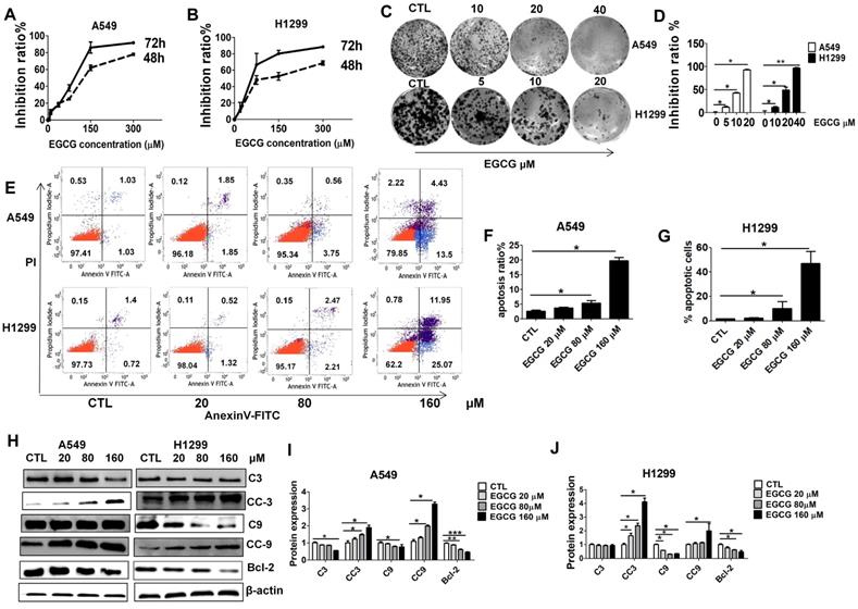 J Cancer Image