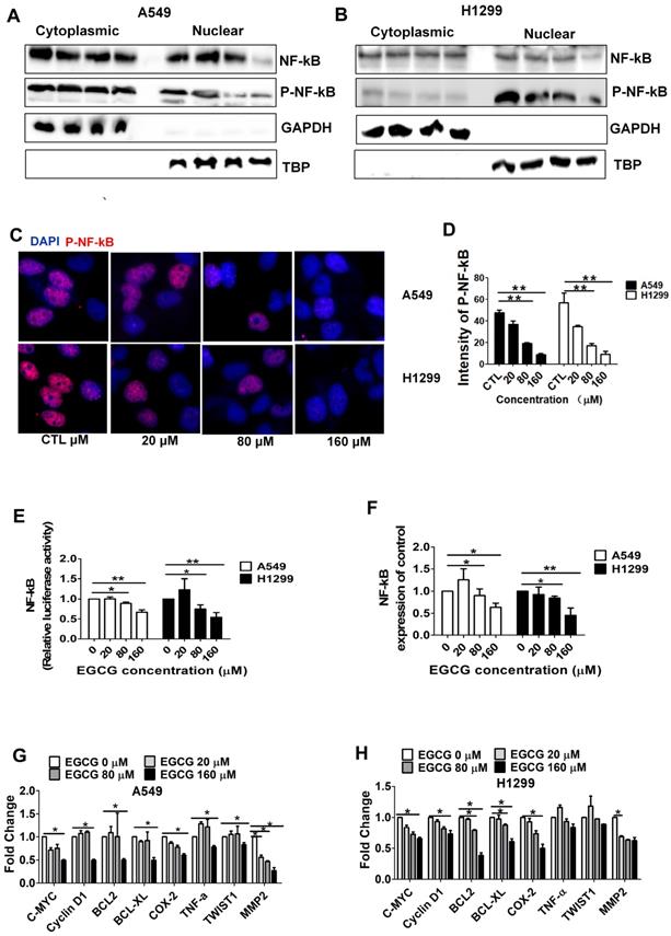 J Cancer Image