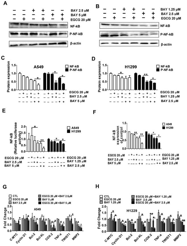 J Cancer Image