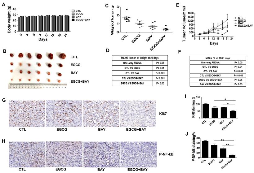 J Cancer Image