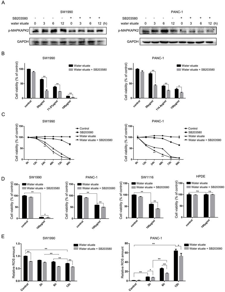 J Cancer Image