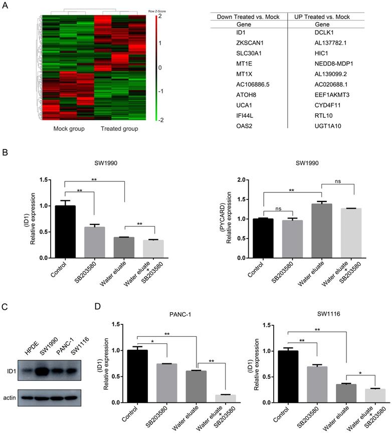 J Cancer Image