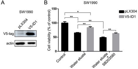 J Cancer Image