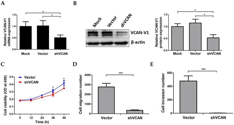 J Cancer Image