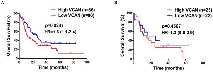 J Cancer Image