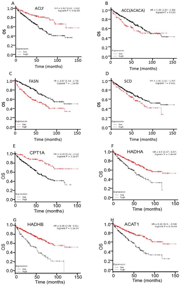 J Cancer Image