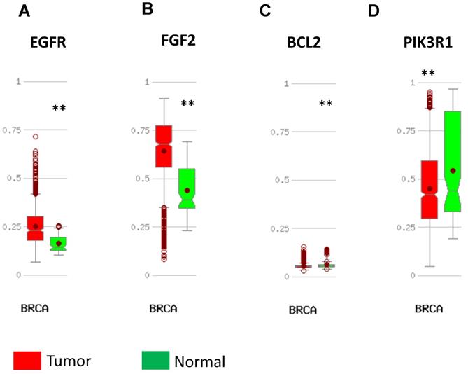 J Cancer Image