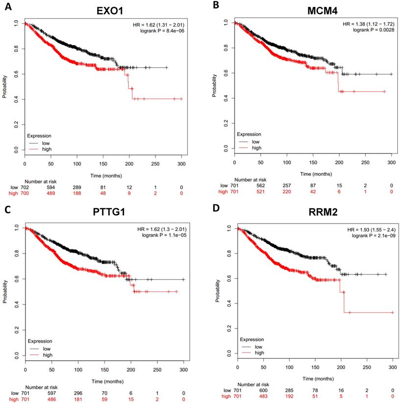 J Cancer Image