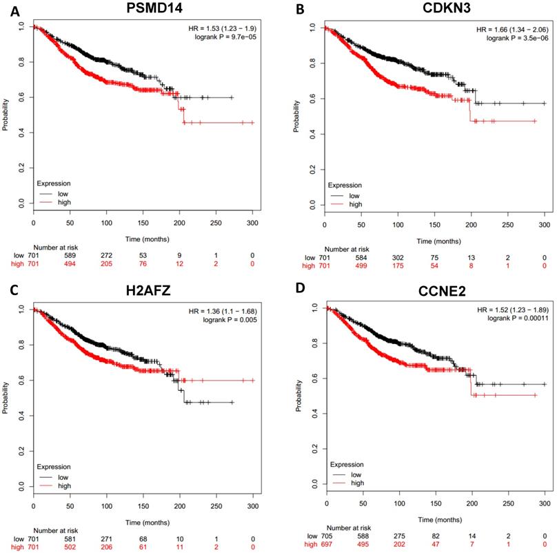 J Cancer Image