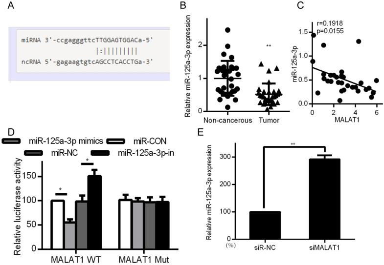 J Cancer Image