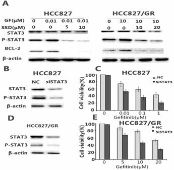 J Cancer Image