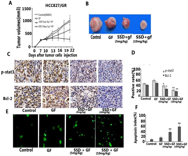 J Cancer Image