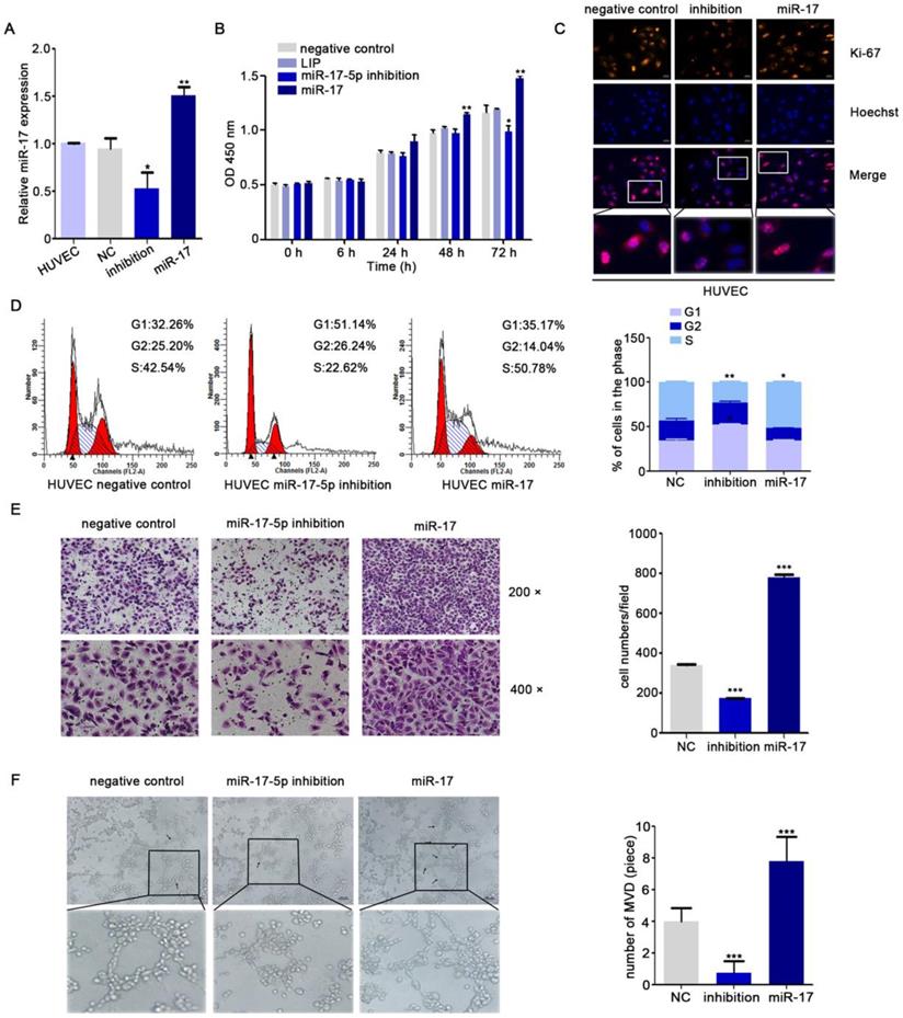 J Cancer Image