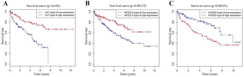 J Cancer Image