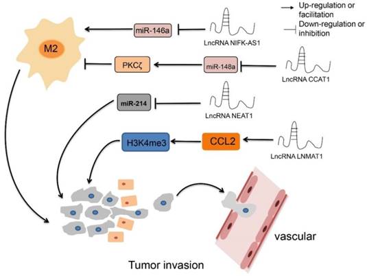 J Cancer Image