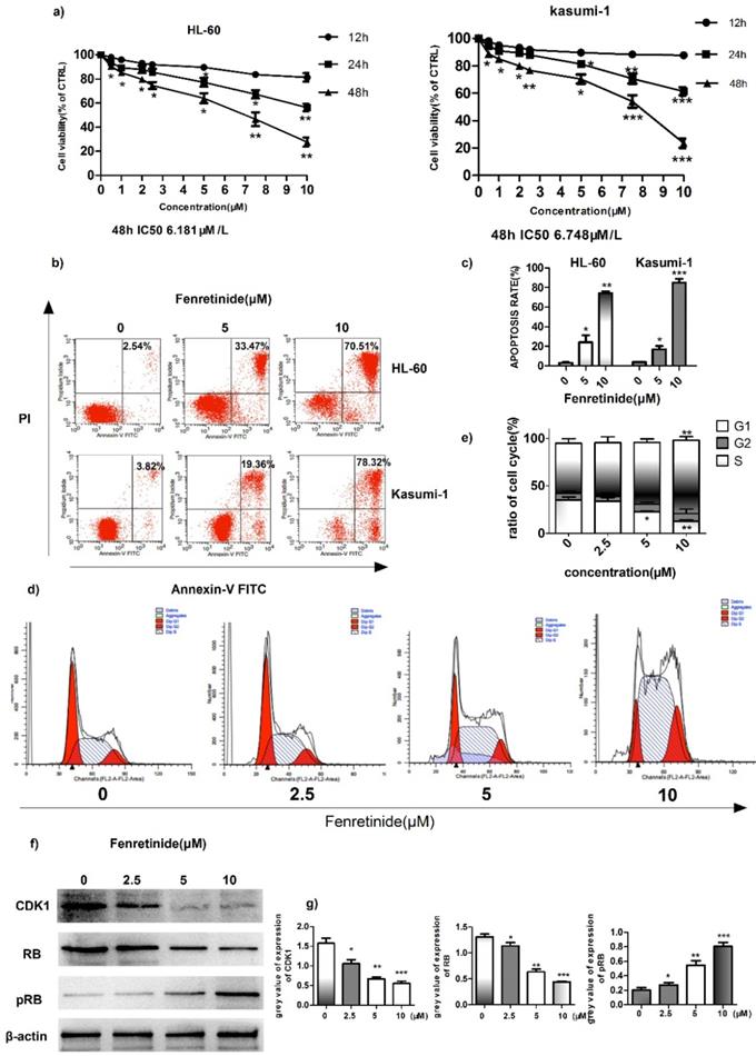 J Cancer Image