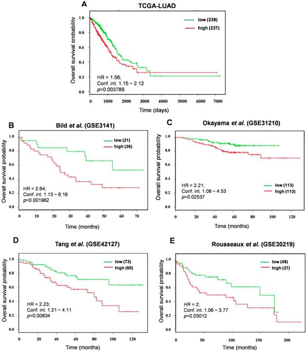 J Cancer Image