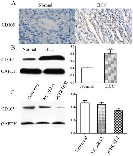 J Cancer Image