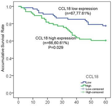 J Cancer Image