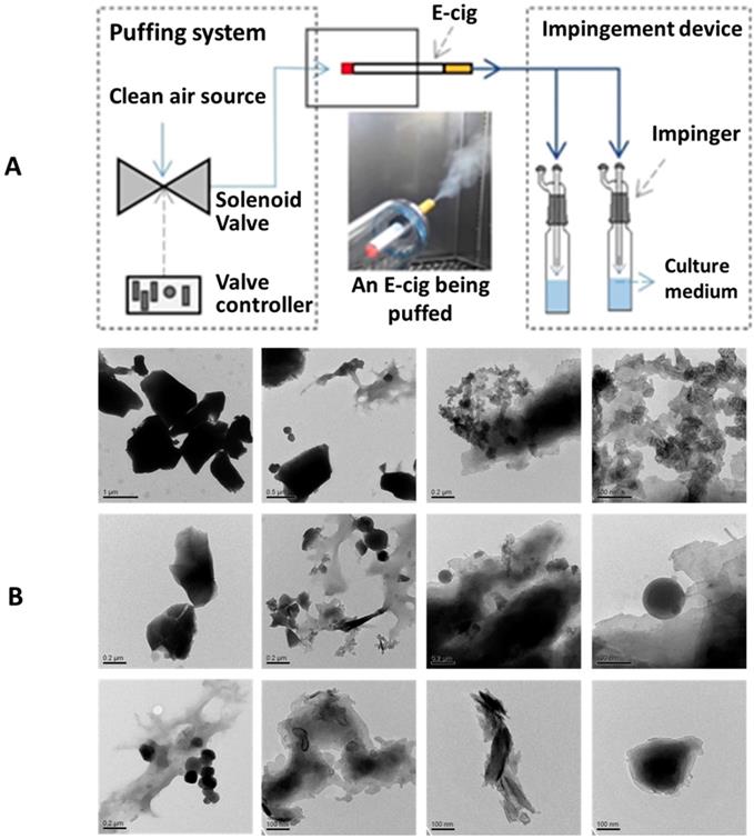 J Cancer Image