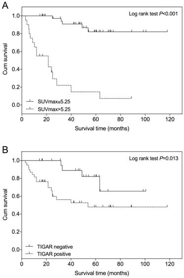 J Cancer Image